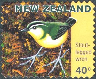 stout-legged wren stamp